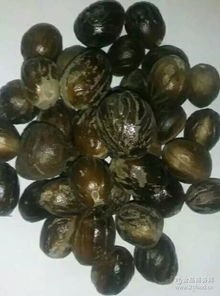 湖北 調(diào)味料 調(diào)味料價(jià)格 報(bào)價(jià) 調(diào)味料品牌廠家